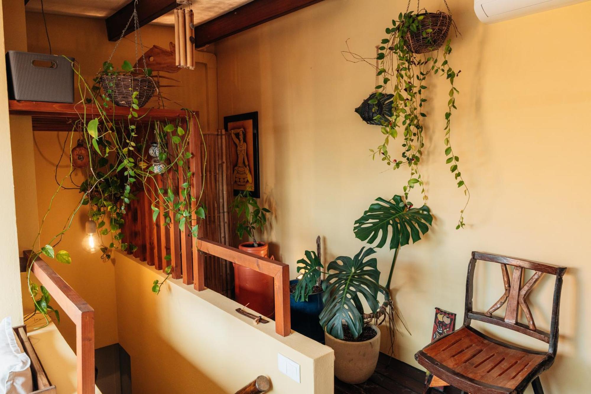 Villa Sal ลาโกอา ภายนอก รูปภาพ