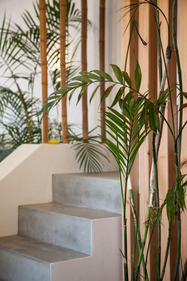 Villa Sal ลาโกอา ภายนอก รูปภาพ
